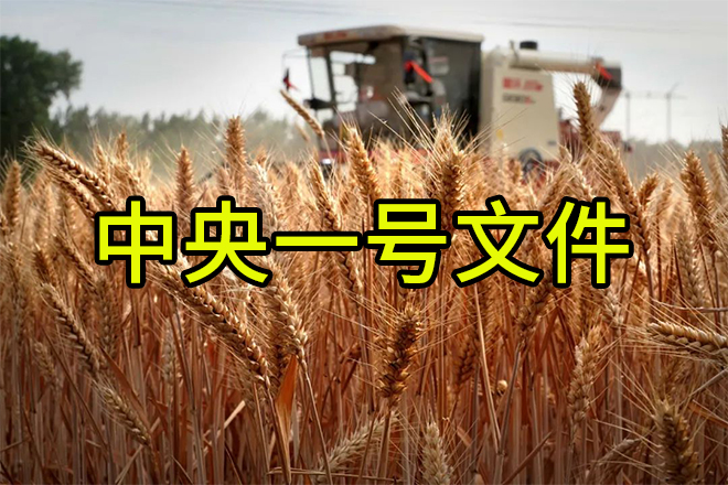 《转发》老赵说农资：解读2024中央一号文件，肥料生产企业这样干