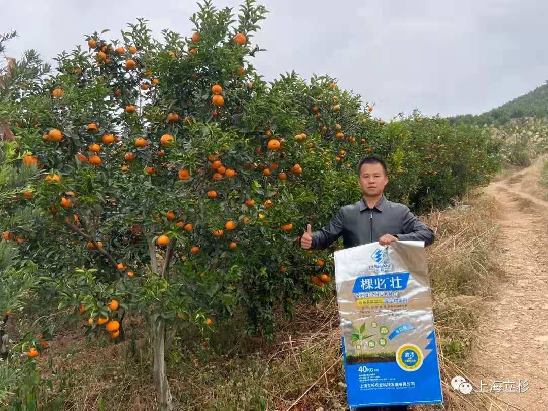 上海立杉炭基肥棵必壮助力广西柑橘增产增收
