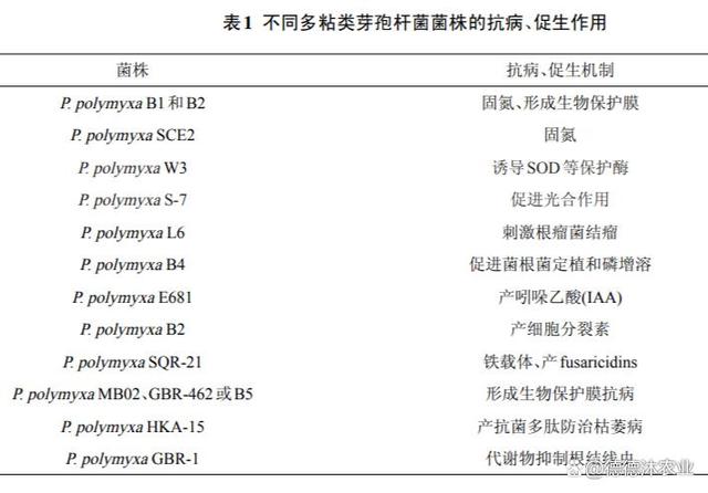 农业生产中常见微生物菌剂功能大全（已登记菌剂）(图3)