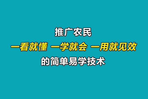 引导农民合理施肥用药,推广一看就懂、一学就会、一用就见效的技术